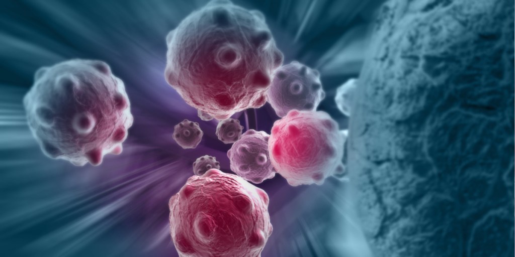 A Second Transplant It&nbsp;Is…